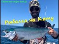 Рыбалка на Кету в Охотском море 2022