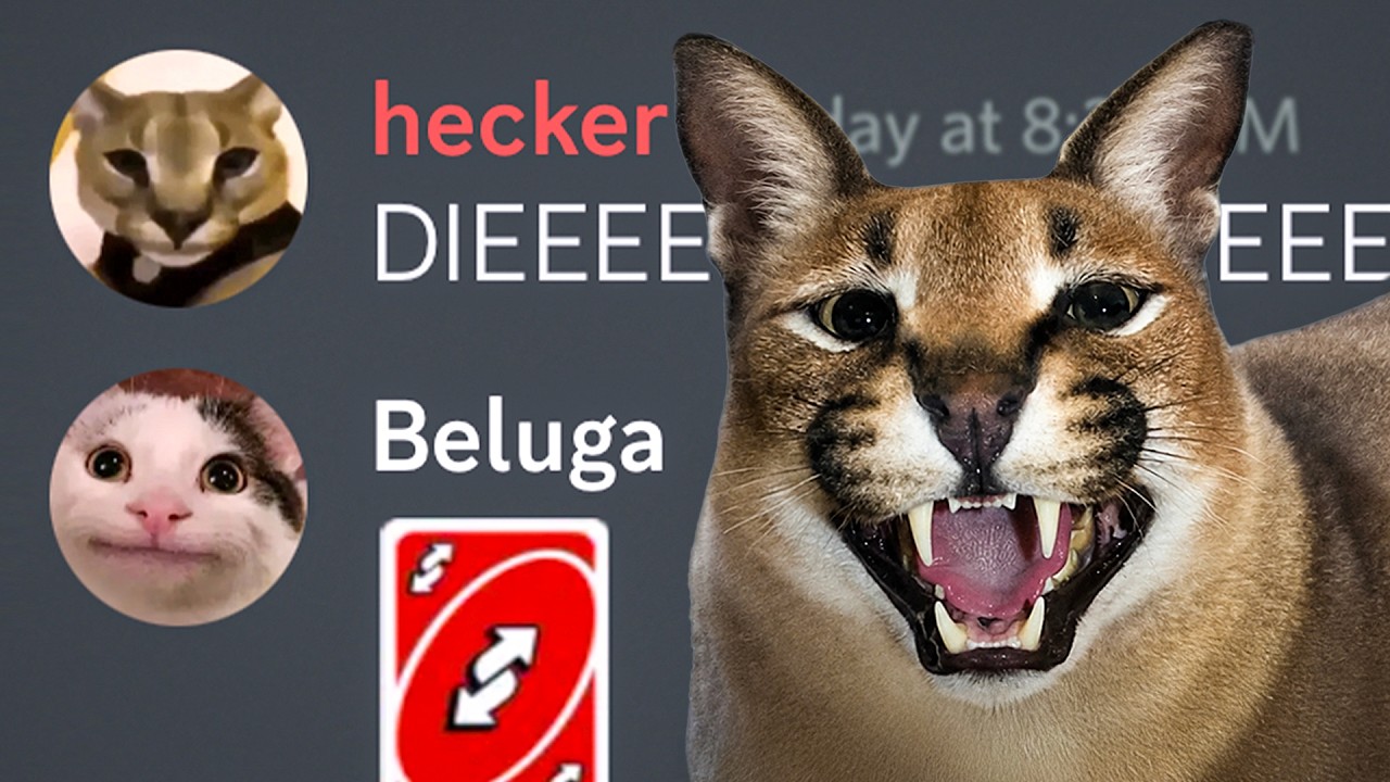 Beluga vs Hecker (Mega Compilation)