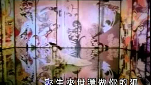 [KTV] 陈瑞 - 白狐 (正式版) - 天天要闻