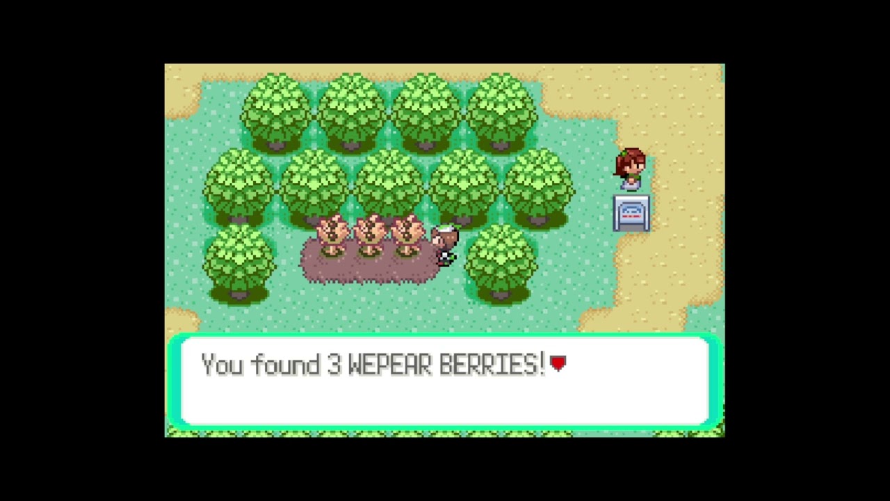 How to get Wepear Berry in Pokemon Emerald