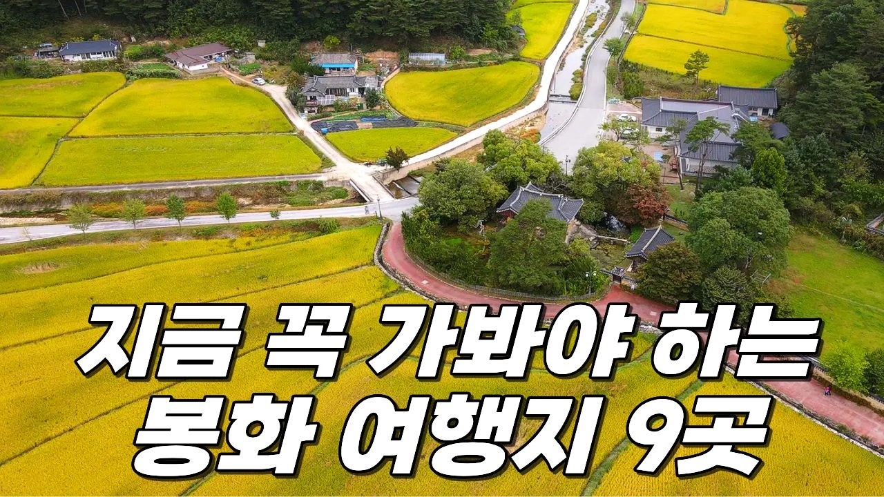 한국에 이런 곳이 있었다고?? 경북 봉화 여행 코스 9곳 완벽하게 정리했습니다. 백두대간수목원부터 분천 산타마을까지 참고해서 다녀와보세요!