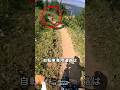自転車専用道路が危険な理由