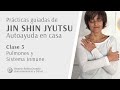 Práctica guiada 3 (empieza min. 20:06) JIN SHIN JYUTSU. Pulmones y Sistema Inmune.