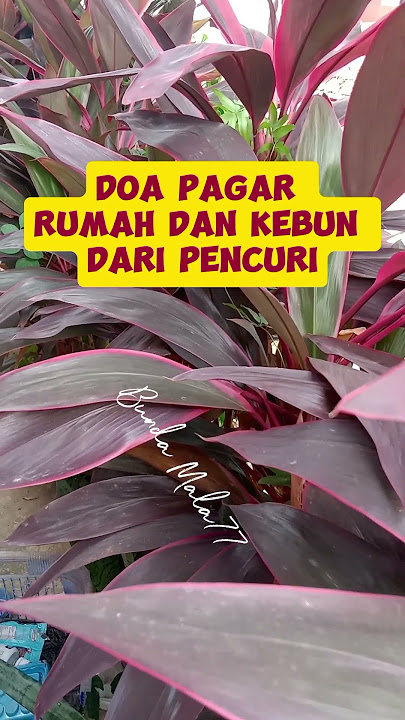 Doa Pagar Rumah Dan Kebun Dari Pencuri