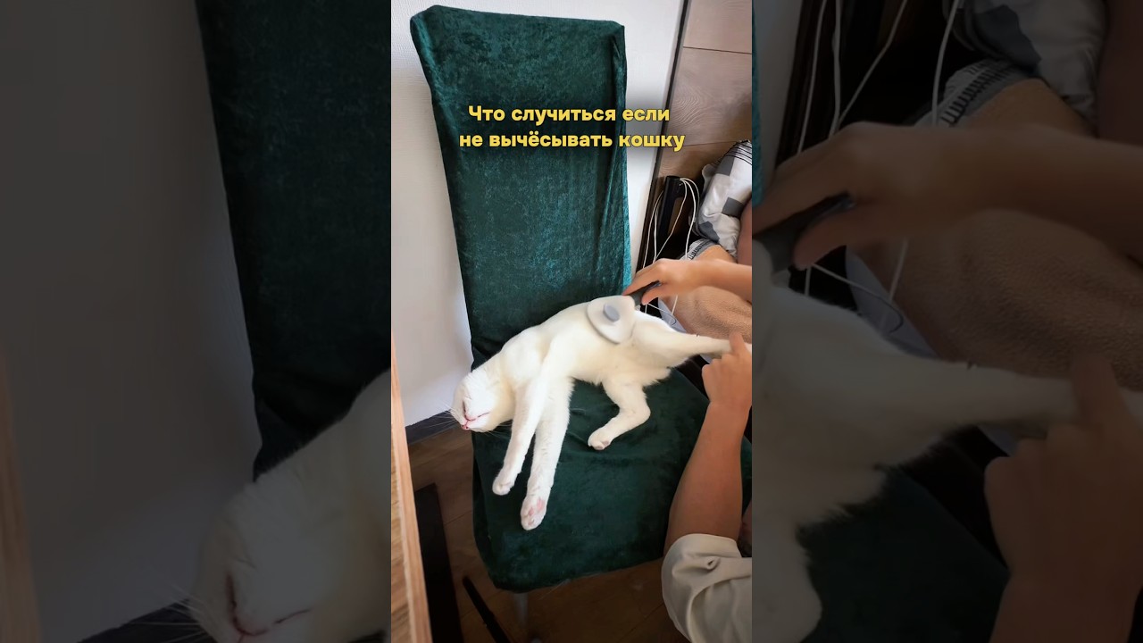 Недооценённая проблема, которую игнорируют. Арт.на мальт-пасту — 