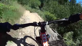 Rude Skov MTB