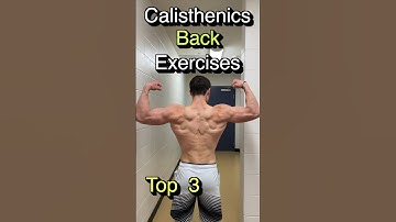 Best Calisthenics Back exercises