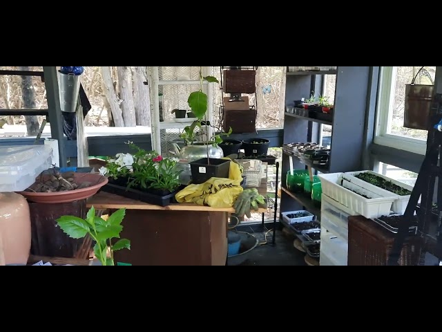 My Garden Hideaway CCL#24