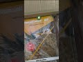 يخفونكم من الخبز والحبوب المشكل فيك أنت معرض الرباط الدولي للكتاب