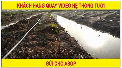 HƯỚNG DẪN LẮP ĐẶT TƯỚI TỰ ĐỘNG ASOP | Khách hàng quay video hệ thống tưới gửi cho Asop