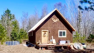 Simple Off Grid Cabin: Baby Ducks, Spring logging/Firewood