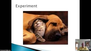 PS 113 20134 Chapter01 p4