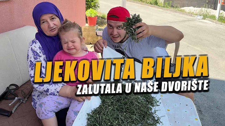 RASTE SVUDA OKO NAS A MALO KO ZNA KOLIKO JE MOČNA - 180/365
