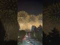 Firework 🎇 in Tokyo Japan #traveljapan #firworks #tokyofireworks