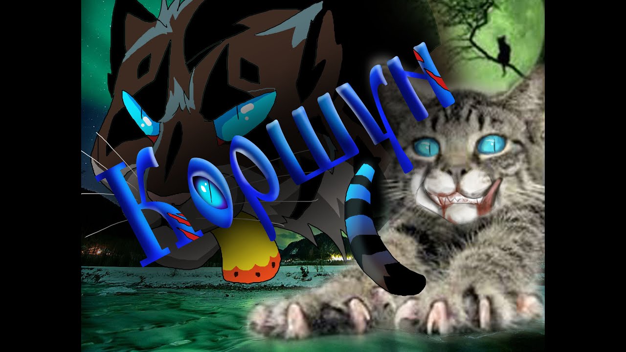 Коты воители машина