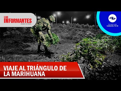 Video: Hecho en Ucrania es un 