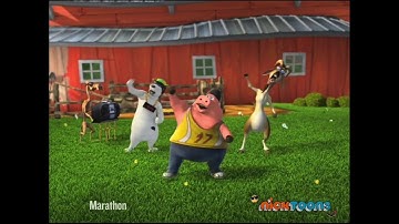 Back at the Barnyard - Pig