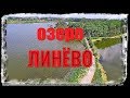 Озеро ЛИНЁВО, Рубежное. Обзорчик водоёма