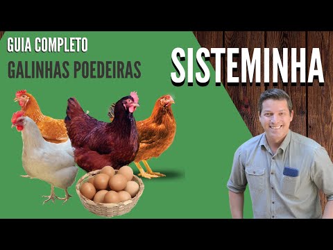 Vídeo: Criando galinhas de quintal? Cuidado com as salmonelas