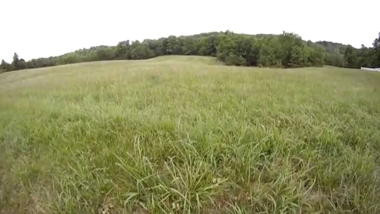 104.5± Acres - Hayes - Wilkes CountyCounty NC