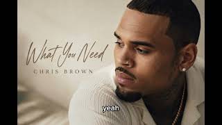 Chris Brown - What You Need