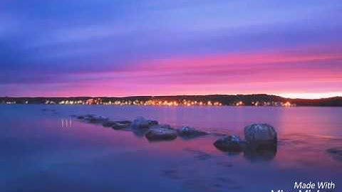 Colors of the night -Radish Guy (Caustic 3 song)