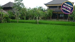Bliss Spa Ubud Hotel | Bali, Indonesia | Hotel Review 🛏️
