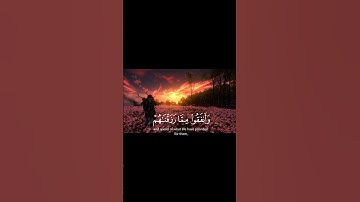 تلاوة خاشعة تهز القلوب 🌿 | قرآن كريم بصوت يريح القلب  #quran #تلاوة #اكسبلور #قرآن #حالات_واتس