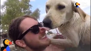 Man Befriends Stray Dog That He Wouldn't Leave Behind | The Dodo