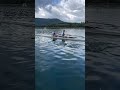 Age is just a number 💪 #mastersrowing #youtubeshorts
