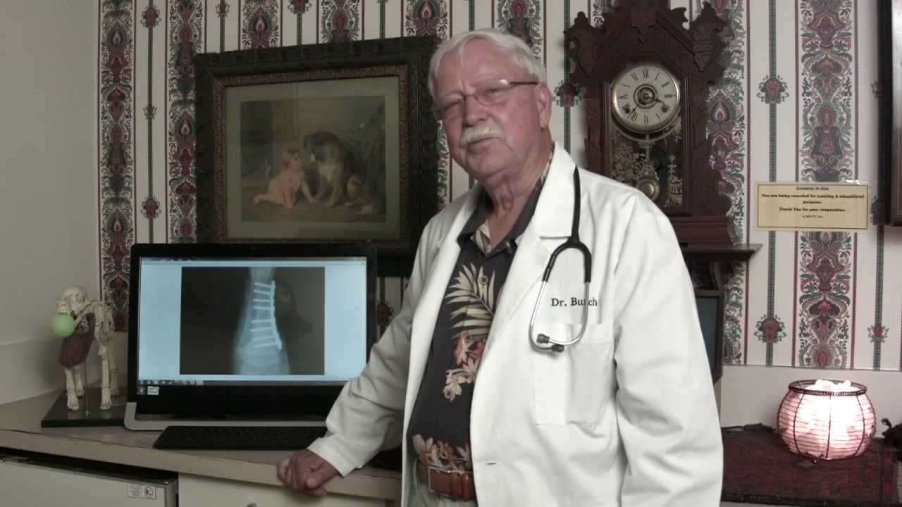 to Animal Medical Center of Redlands YouTube