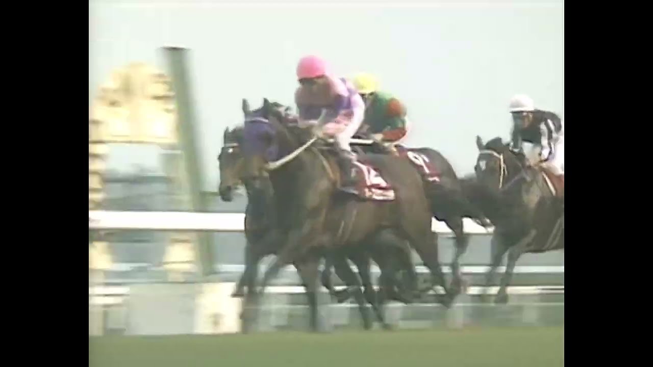 メジロライアン 1990年 第35回有馬記念(GI) (優勝馬：オグリキャップ 