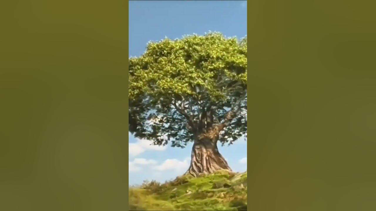 Mufasa the lion king (2024) disney animation YouTube