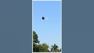 Cognizance 2K25 Flight Furry, Oops moment plane crashed#iit #techfest #cognizance #music #tech #play