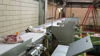 Automatic Ham Weight Classifier