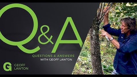 Effective Chop and Drop Timing