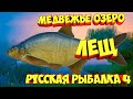 русская рыбалка 4 - Лещ Медвежье озеро - рр4 фарм Алексей Майоров russian fishing 4