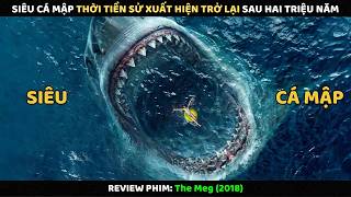 Siêu Cá Mập Thời Tiền Sử Xuất Hiện Trở Lại Sau Hai Triệu Năm | Review Phim screenshot 5