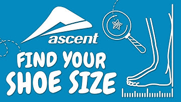 Find Your Shoe Size