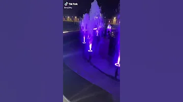 فلوجة العز 