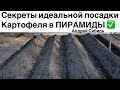 Сажаю 250 КЛУБНЕЙ в мае -получаю 12 МЕШКОВ в сентябре! Посадка Американки в ПИРАМИДЫ 2022 год.