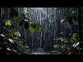 🔴 Live 🌧️ Soft Rain Forest Sounds for deep sleep meditation, relaxing the body, mind fully tonight