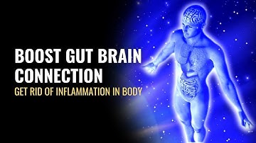 Boost Gut Brain Connection | Increase Your Gut Microbiome |  Get Rid of Inflammation in Body | 741Hz