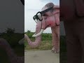 Pinkie the elephant - Deforest Wi