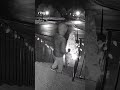 Boys walk outside for first snow, catch meteorite instead ☄️
