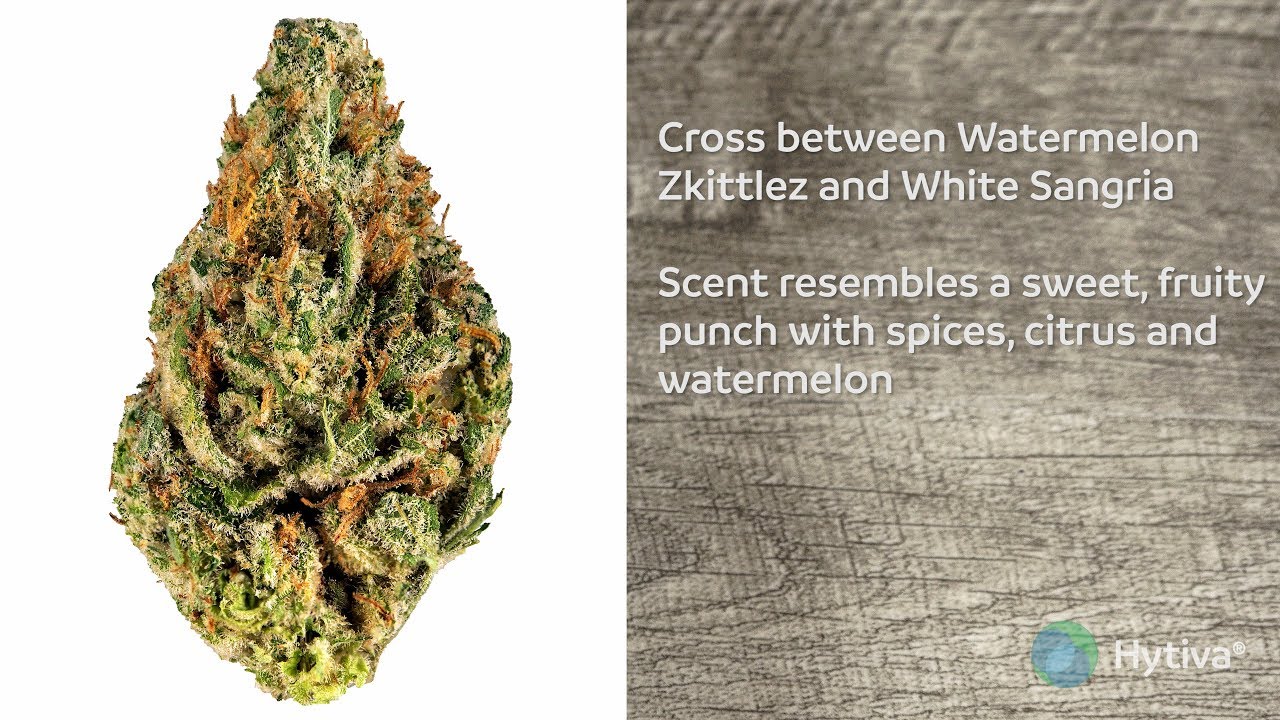 Strain Review: Watermelon Sangria