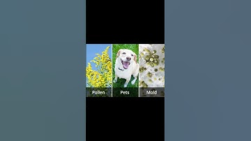 What causes eye allergies?