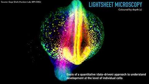 Do as eye do: efficient content-adaptive processing and storage of large fluorescence images