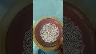 Hollow Fibre Membrane Module