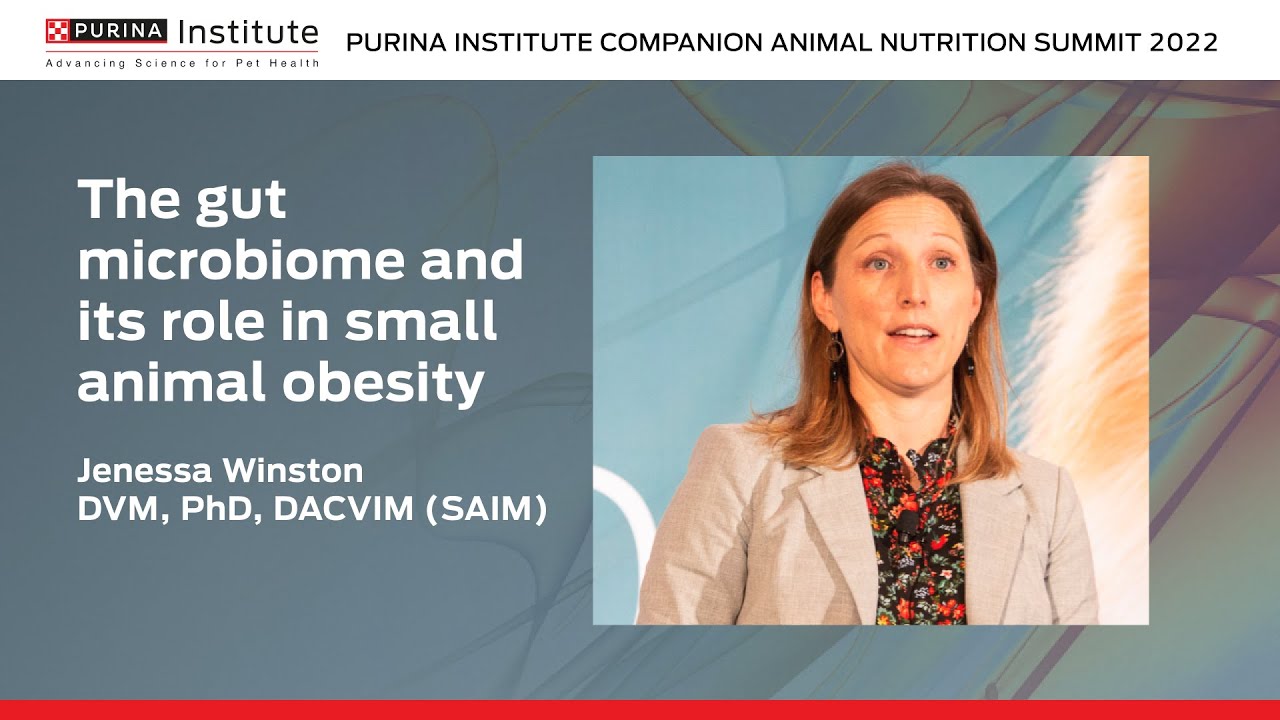 The gut microbiome and its role in small animal obesity - Companion Animal Nutrition Summit 2022
